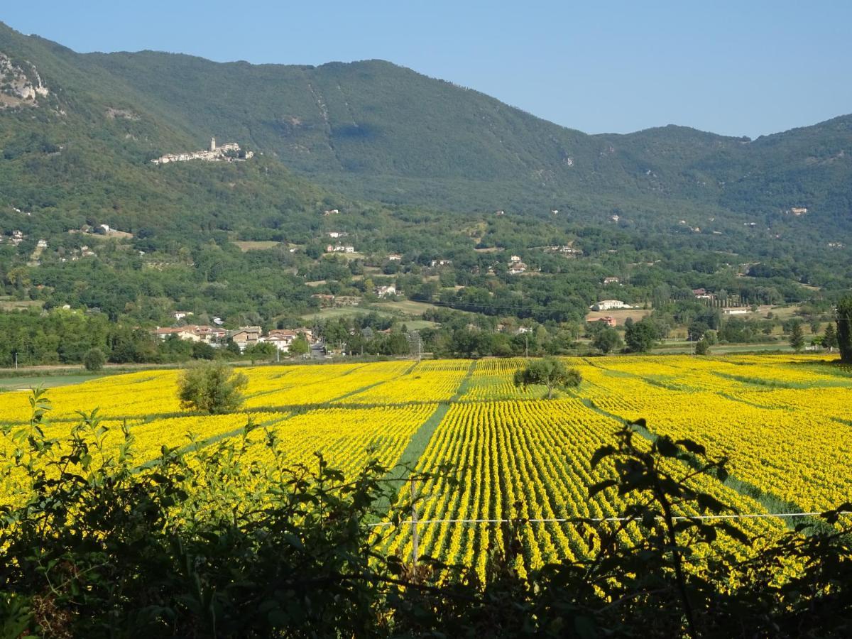 La Bottega Del Fabbro Affitto Breve Villa Contigliano Buitenkant foto