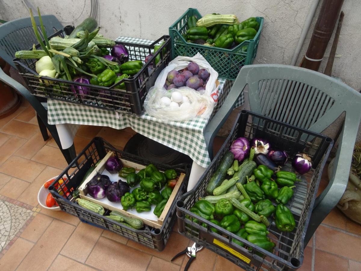 La Bottega Del Fabbro Affitto Breve Villa Contigliano Buitenkant foto